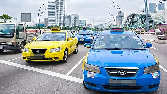 中国网友爆料：新加坡打车15公里240元！半张回程机票没了...（组图） - 11