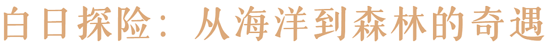 奢享新州 | 悉尼及周边顶奢玩法指南（组图） - 39
