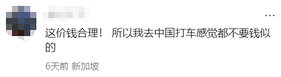 中国网友爆料：新加坡打车15公里240元！半张回程机票没了...（组图） - 9