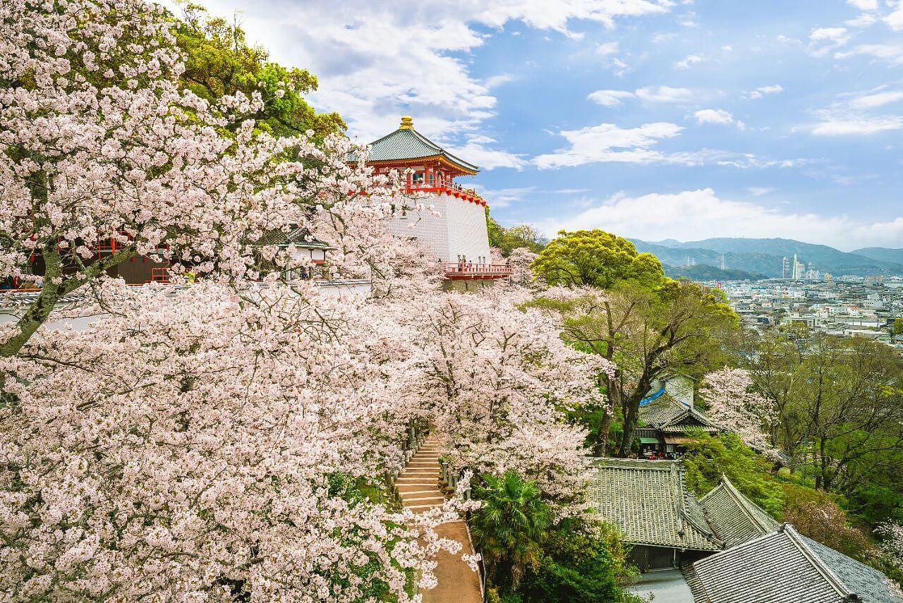 【本周焦点】关税裁决与通胀双扰,美元冲高乏力周线小跌(组图) - 5