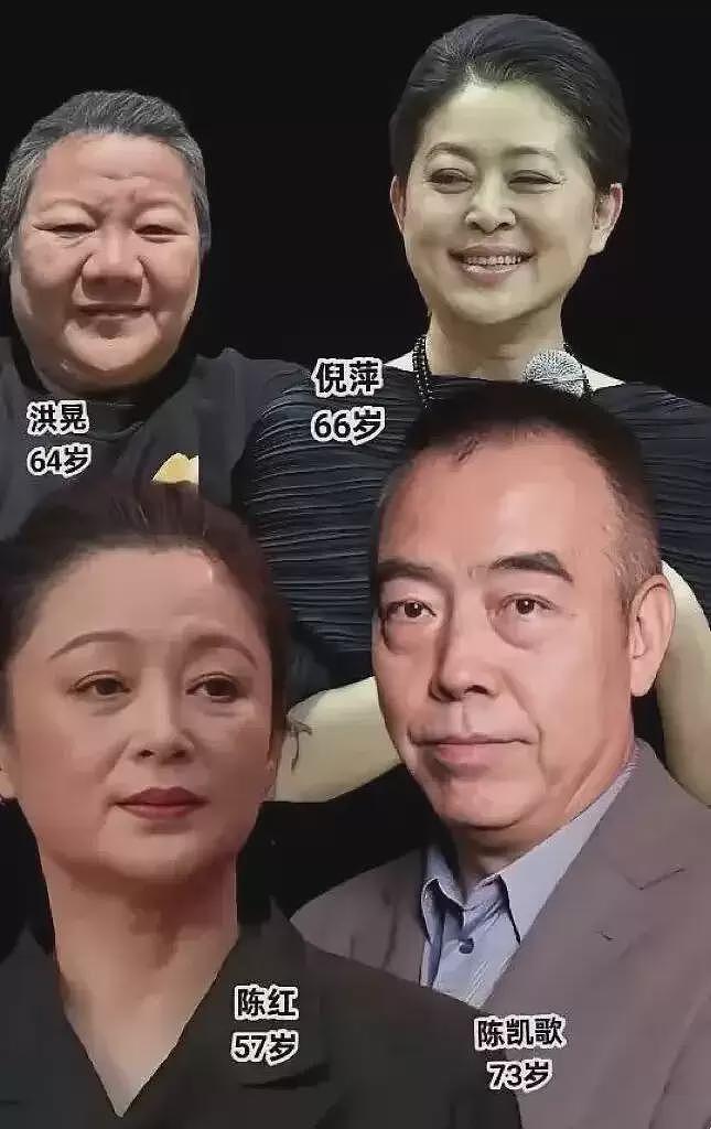 陈凯歌三亚豪宅过年，穿1万4花衬衫戴60万大金表，低调中彰显品味（组图） - 4
