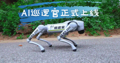 “300只老虎积食又呕吐”,明星动物被热情游客投喂成“工伤”(组图) - 22