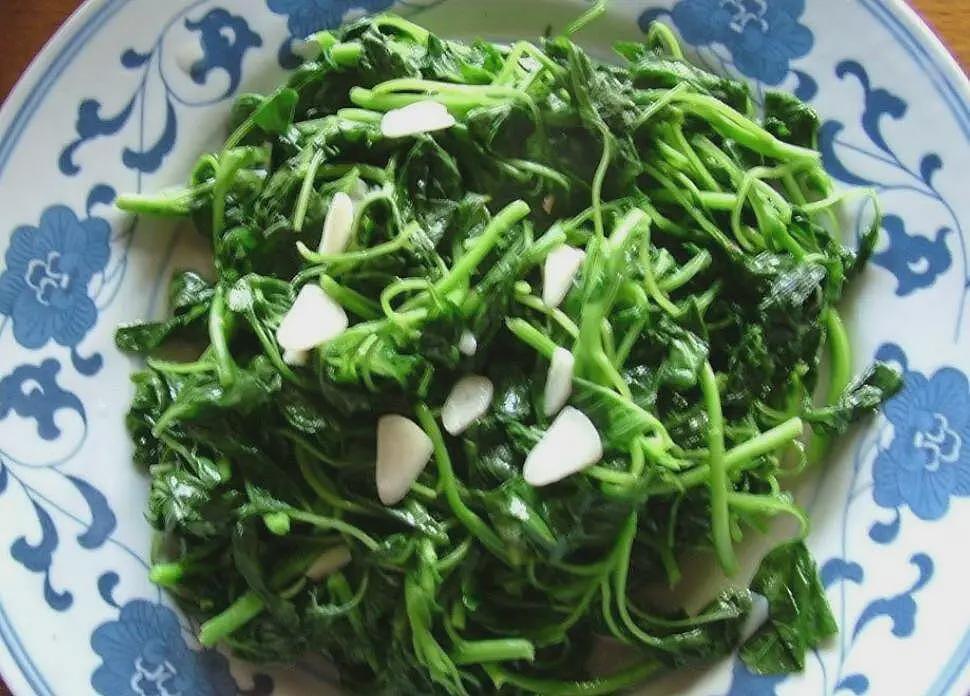【涨知识】这菜3块钱一斤，含钙量是牛奶的5倍，孩子常吃补钙猛长个（组图） - 3