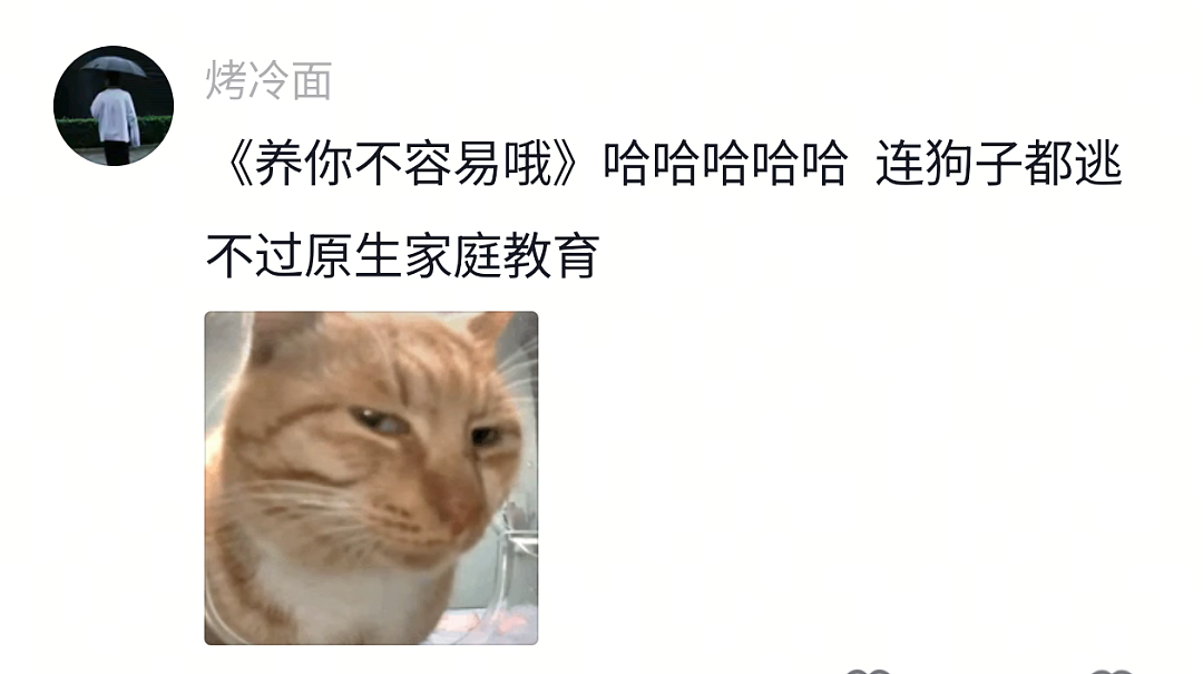 【宠物】网友家的狗帮家里摘花生,还喊它的朋友来帮忙…网友:终于理解“养只狗都好过养你”这句话了(组图) - 2
