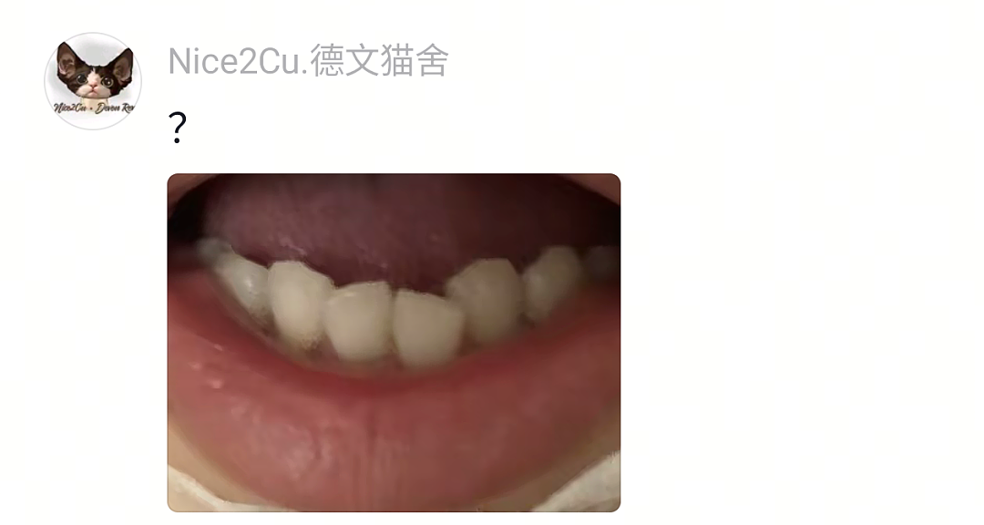 【宠物】网友家的狗帮家里摘花生,还喊它的朋友来帮忙…网友:终于理解“养只狗都好过养你”这句话了(组图) - 32