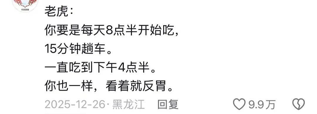 “300只老虎积食又呕吐”,明星动物被热情游客投喂成“工伤”(组图) - 11