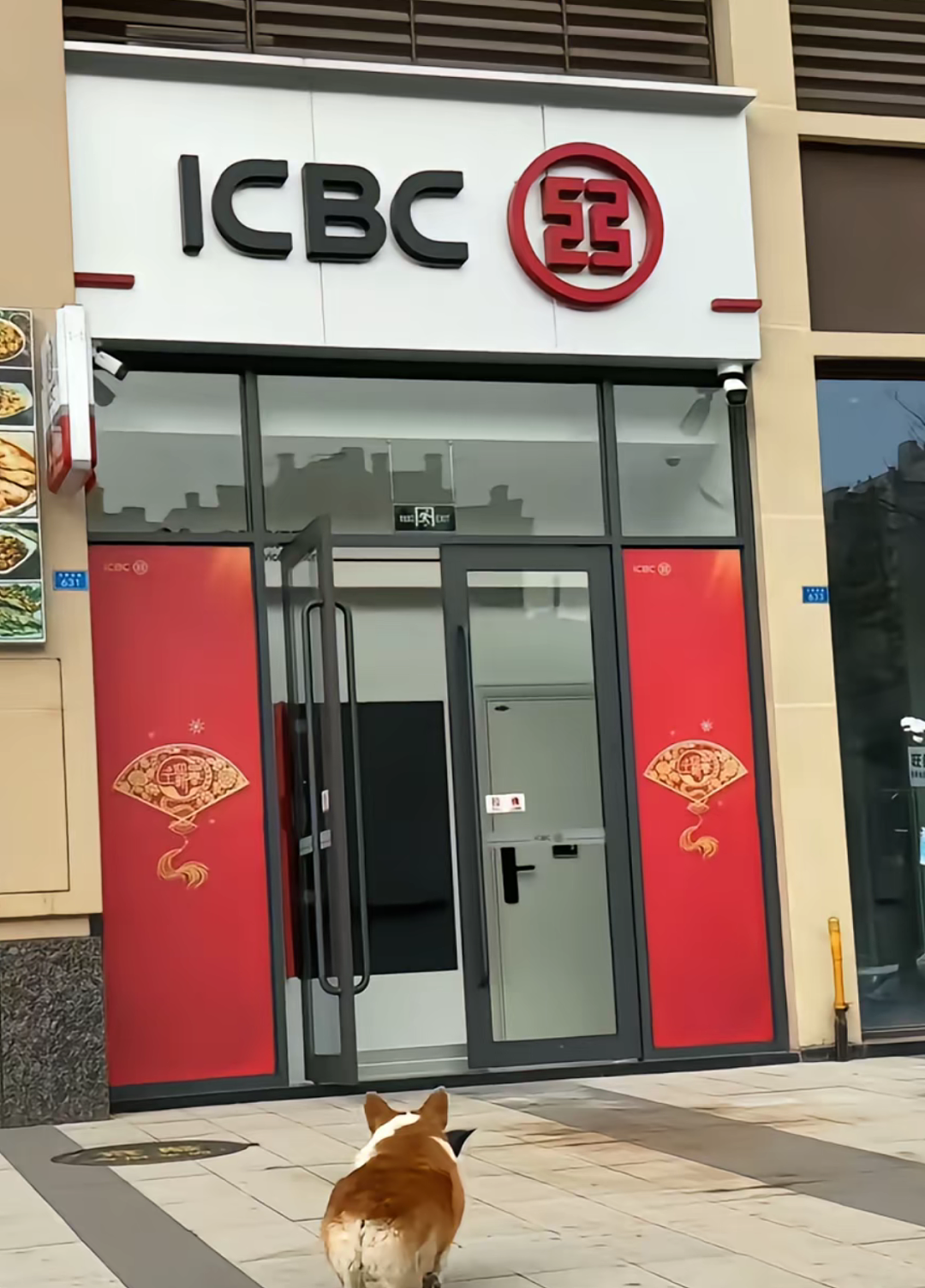 【宠物】网友家的狗帮家里摘花生,还喊它的朋友来帮忙…网友:终于理解“养只狗都好过养你”这句话了(组图) - 27