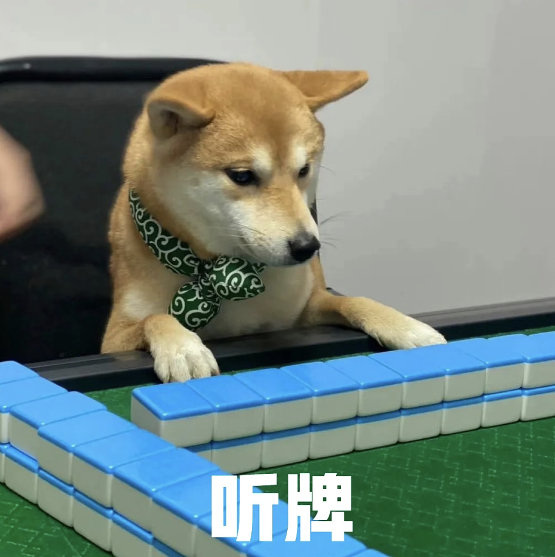 【宠物】网友家的狗帮家里摘花生,还喊它的朋友来帮忙…网友:终于理解“养只狗都好过养你”这句话了(组图) - 17