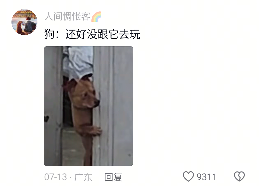 【宠物】网友家的狗帮家里摘花生,还喊它的朋友来帮忙…网友:终于理解“养只狗都好过养你”这句话了(组图) - 3