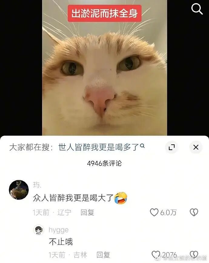 【爆笑】突然发现男朋友有个女儿?我该分手吗?网友无语:不分想无痛当妈(组图) - 25