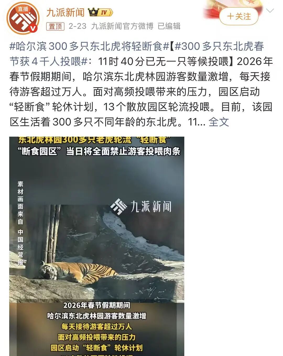 “300只老虎积食又呕吐”,明星动物被热情游客投喂成“工伤”(组图) - 2