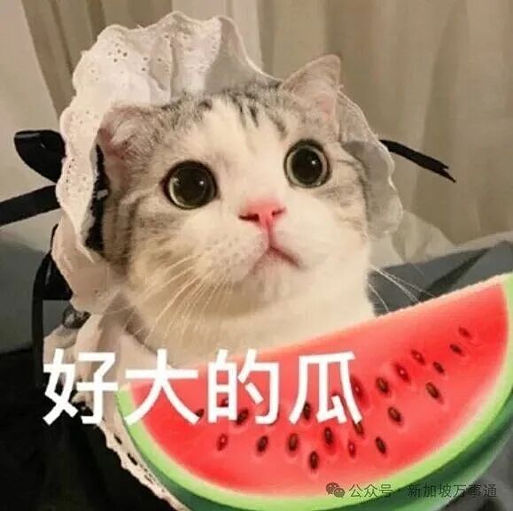 被曝选妃+重婚、泰国车祸是摆拍...薛之谦最新回应！ 周杰伦、张杰等顶流牵涉竟另有隐情？！（组图） - 1