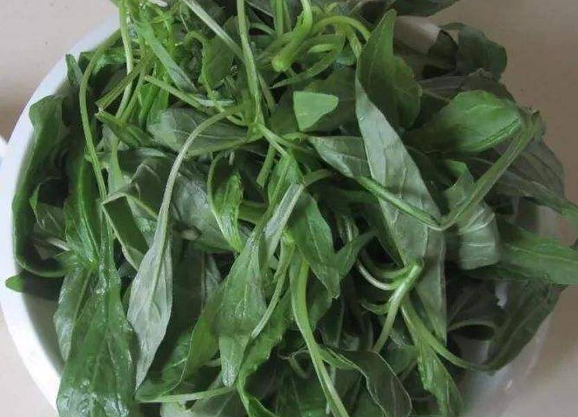 【涨知识】这菜3块钱一斤，含钙量是牛奶的5倍，孩子常吃补钙猛长个（组图） - 1