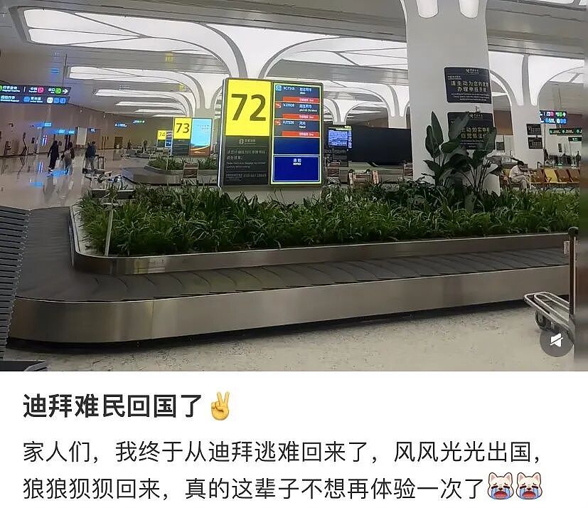 迪丽热巴滞留迪拜!中东战火波及中国游客:有人花几十万抢机票、连夜包车逃离(组图) - 12