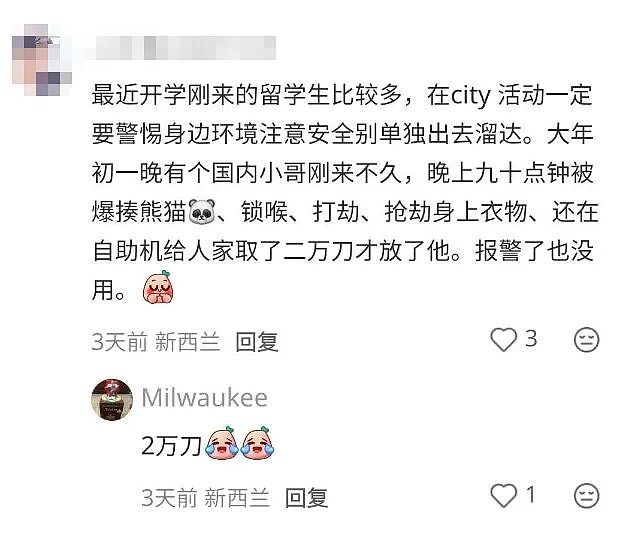 “今天我在奥克兰被人打了!”华人讲述惊魂一刻:“对方要吃的没给……”(组图) - 11