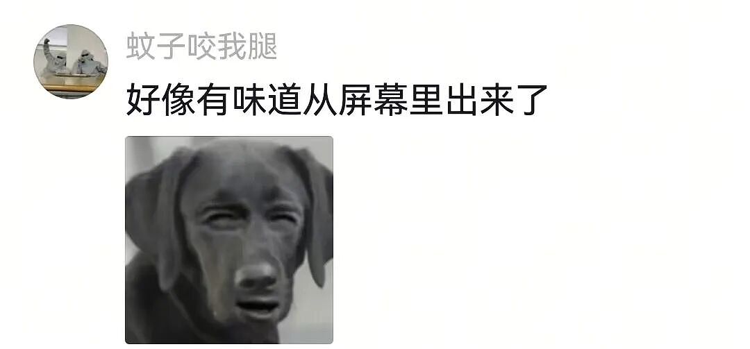 【宠物】网友家狗子便秘，被喂地瓜后疯狂放屁，网友被熏得逃离现场（组图） - 21