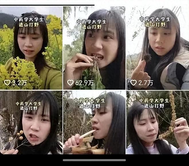 湖南女生进山寻找草药视频走红!本人回应:是药三分毒,切勿模仿(组图) - 1