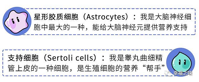 【两性】为啥男人喜欢用下半身思考? 蛋蛋和大脑太相似(组图) - 5