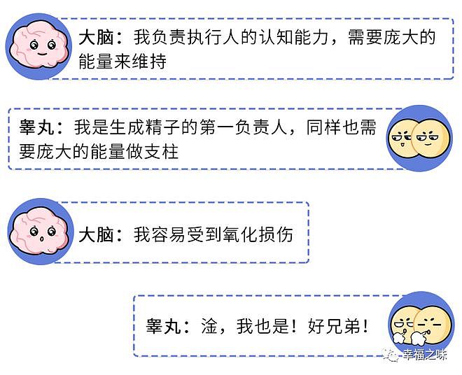【两性】为啥男人喜欢用下半身思考? 蛋蛋和大脑太相似(组图) - 6