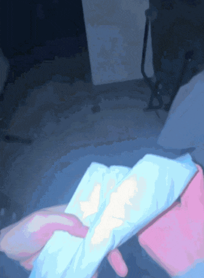 【宠物】网友家狗子便秘，被喂地瓜后疯狂放屁，网友被熏得逃离现场（组图） - 10