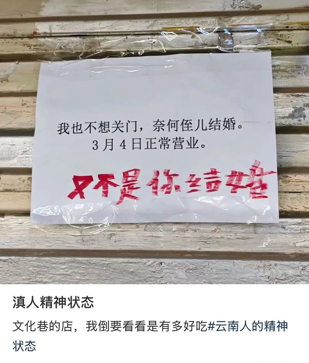 【爆笑】刚毕业的堂妹把我当成提款机…？啊啊啊是你鲨人被她撞见了吗（组图） - 28