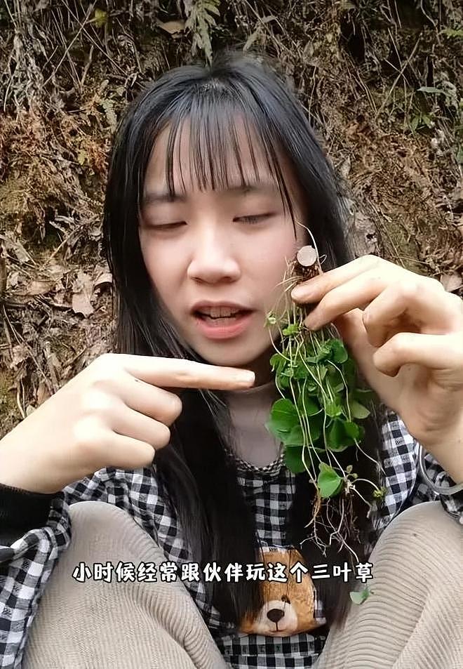 湖南女生进山寻找草药视频走红!本人回应:是药三分毒,切勿模仿(组图) - 4