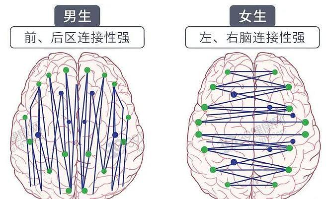 【两性】为啥男人喜欢用下半身思考? 蛋蛋和大脑太相似(组图) - 10