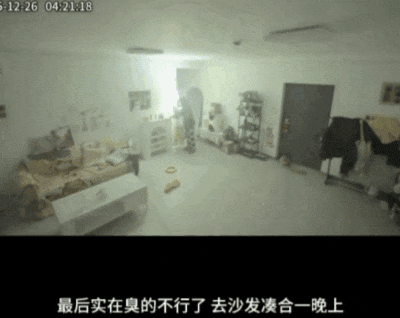【宠物】网友家狗子便秘，被喂地瓜后疯狂放屁，网友被熏得逃离现场（组图） - 11