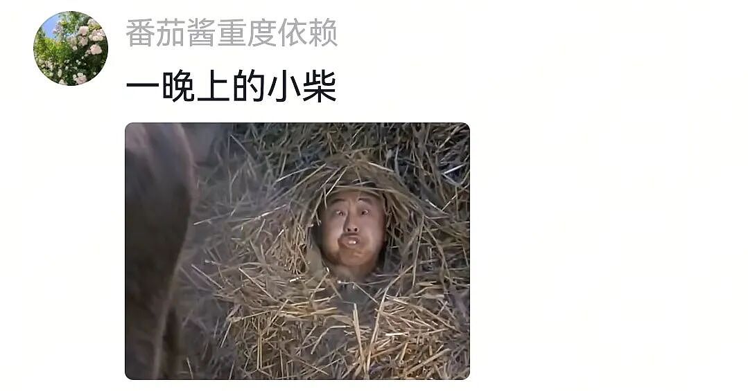 【宠物】网友家狗子便秘，被喂地瓜后疯狂放屁，网友被熏得逃离现场（组图） - 16