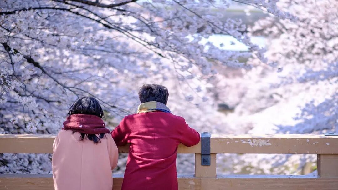 日本富豪有9个妻子12个孩子,日常行程曝光,和谐生活惊呆网友...(组图) - 2