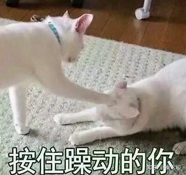 【两性】为啥男人喜欢用下半身思考? 蛋蛋和大脑太相似(组图) - 11