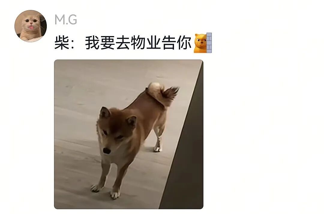 【宠物】网友家狗子便秘，被喂地瓜后疯狂放屁，网友被熏得逃离现场（组图） - 20