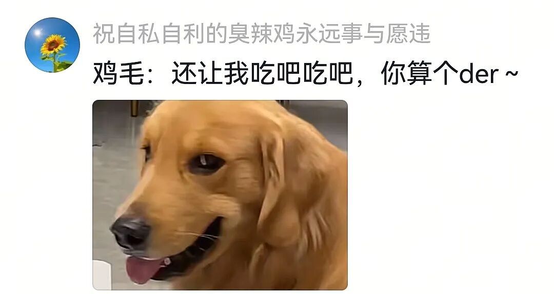【宠物】大金毛想吃小零食，爸爸说好几次同意狗子依旧不动，结果妈妈一句话让爸爸破防（组图） - 14