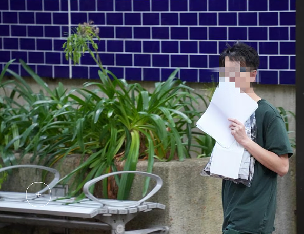 澳洲多所顶私，惊现46岁香港学者假扮男童，被指控（组图） - 3