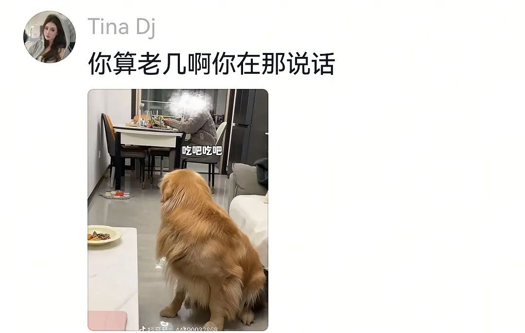 【宠物】大金毛想吃小零食，爸爸说好几次同意狗子依旧不动，结果妈妈一句话让爸爸破防（组图） - 8