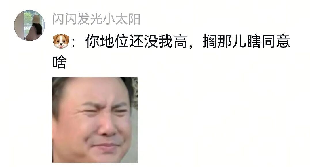 【宠物】大金毛想吃小零食，爸爸说好几次同意狗子依旧不动，结果妈妈一句话让爸爸破防（组图） - 13