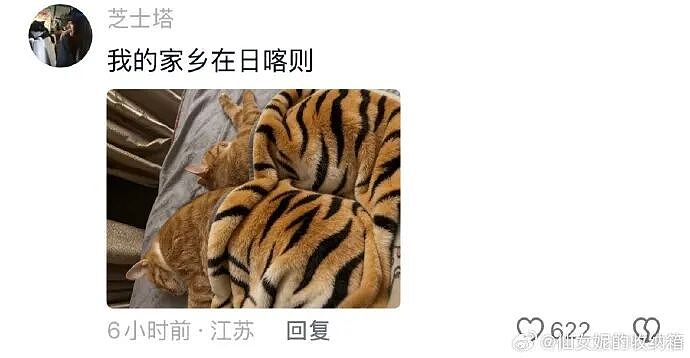 【爆笑】男朋友说发错信息了给我了?网友分析:男朋友有男朋友了(组图) - 75