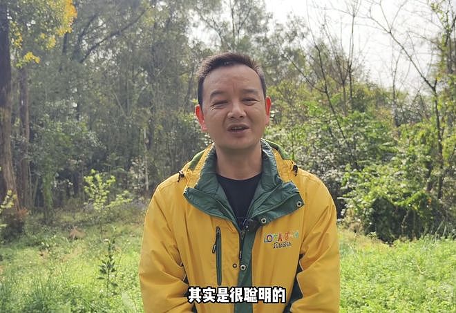 老虎版“没头脑”和“不高兴”爆火出圈，饲养员：它们是双胞胎，其实很聪明很开心（组图） - 3