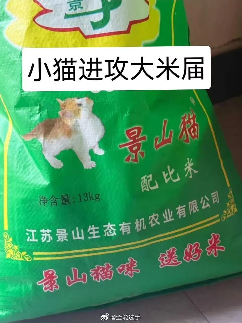 【爆笑】“被SCI拒绝的论文找到了自己真正的家？”哈哈哈人民看得懂的论文才是好论文！（组图） - 21
