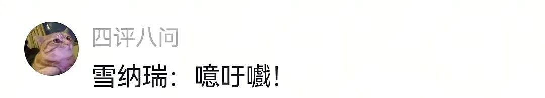 【宠物】白狗进雪地后一秒变黑，且越走越脏…主人摸不着头脑，网友也一脸懵（组图） - 14