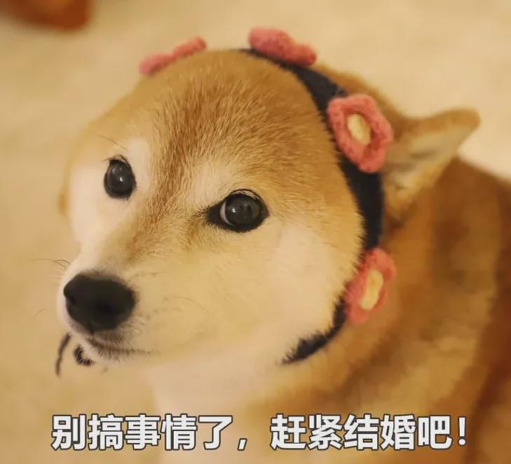 新加坡小伙每月花$8000包养外国美女！多名中国、越南姑娘为PR假结婚（组图） - 19