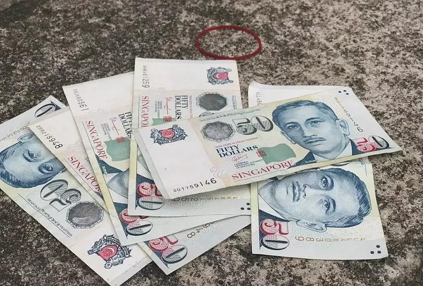新加坡小伙每月花$8000包养外国美女！多名中国、越南姑娘为PR假结婚（组图） - 13