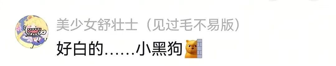 【宠物】白狗进雪地后一秒变黑，且越走越脏…主人摸不着头脑，网友也一脸懵（组图） - 23