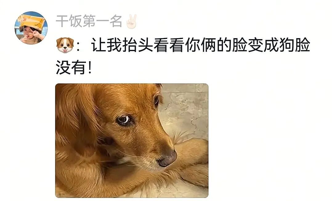 【宠物】白狗进雪地后一秒变黑，且越走越脏…主人摸不着头脑，网友也一脸懵（组图） - 4