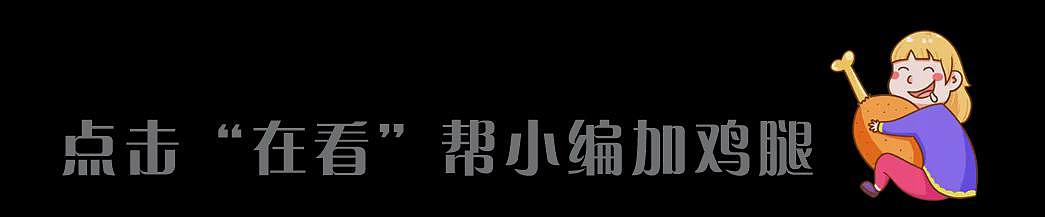 奥克兰北岸母亲两辆汽车被撞！肇事司机拖欠保费！“每周打电话催”！两月坚持维权终获赔！（组图） - 9