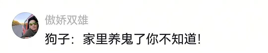 【宠物】白狗进雪地后一秒变黑，且越走越脏…主人摸不着头脑，网友也一脸懵（组图） - 3