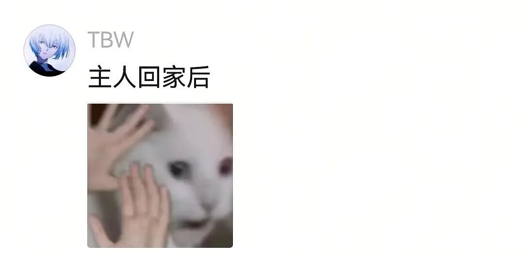 【宠物】白狗进雪地后一秒变黑，且越走越脏…主人摸不着头脑，网友也一脸懵（组图） - 16