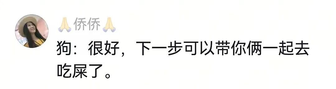 【宠物】白狗进雪地后一秒变黑，且越走越脏…主人摸不着头脑，网友也一脸懵（组图） - 6