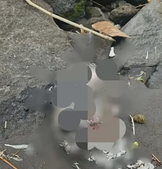 度假天堂变凶案现场：28岁游客遭虐杀分尸，6块尸体被发现（组图） - 4