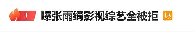 曝张雨绮影视综艺全被拒！风波后复出带货，未回应代孕插足指控（组图） - 1